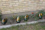 IMG_9840_600x400